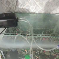 آکواریوم شرکتی