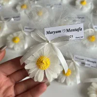 گیفت بابونه گیفت عقد گیفت عروسی
