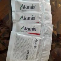 بذر  خیار ازین