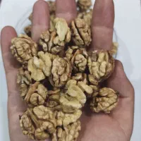 مغز گردو سفید و درجه یک تازه باغات پاوه|خوردنی و آشامیدنی|پاوه, |دیوار