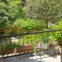 ۸۱۰ متر مستغلات ۴۰۰ متر بنای دوطبقه دیپلمات نشین.|فروش زمین و ملک کلنگی|تهران, زعفرانیه|دیوار