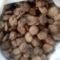 قروت گوسفندی امسالی|خوردنی و آشامیدنی|سربیشه, |دیوار