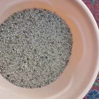 ماسه آکواریوم
