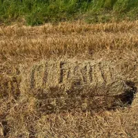 پرس کاه برنج سایز بزرگ