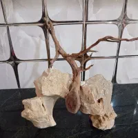 سنگ با شاخه آبنوس