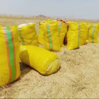 کاه گندم درجه یک