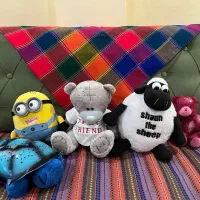 عروسک های اسباب بازی|اسباببازی|رشت, پاستوریزه|دیوار