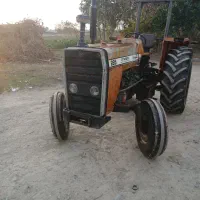 فرگوسن مدل۸۱|خودرو سنگین|گنبد کاووس, |دیوار