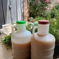 آبغوره|خوردنی و آشامیدنی|رشت, سیا اسطلخ|دیوار