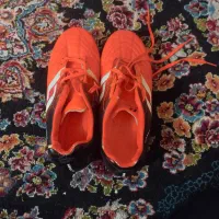 دو جفت کفش|کیف، کفش، کمربند|مشهد, طبرسی شمالی|دیوار