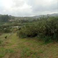 زمین-باغی