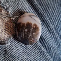 شجر تک درخت|جواهرات|زنجان, |دیوار