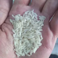 برنج هاشمی درباری تالش درجه یک|خوردنی و آشامیدنی|تهران, خانی آباد نو جنوبی|دیوار