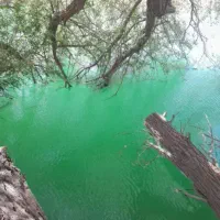 سفر به شمال کشور