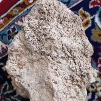 سنگ رسوبی تخت و زیبا مناسب تخم ریزی ماهی