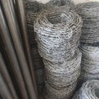 فنس و پایه نو سیم خاردار  و توری مرغی و فرنگی|خدمات باغبانی و درختکاری|مبارکه, |دیوار