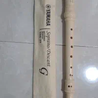فلوت نو