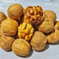 گردو مغز خوب