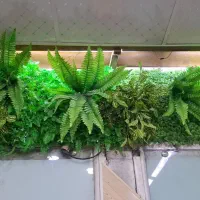 پخش چمن مصنوعی و گرین ووال با کیفیت به قیمت عمده|مصالح و تجهیزات ساختمان|اهواز, کوی ملی راه|دیوار