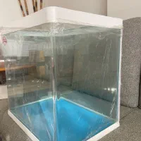 آکواریوم کاملا نو|ماهی|اصفهان, پروین|دیوار