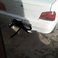 وقت جهت معاوضه