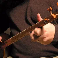 دوره آموزش سه تار