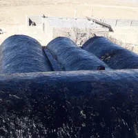 فروش ایزوگام وقیر حتی یک متر درسراسر استان|خدمات پیشه و مهارت|بیرجند, |دیوار