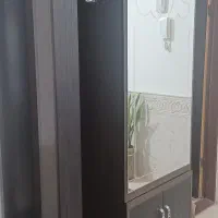 جاکفشی ایستاده