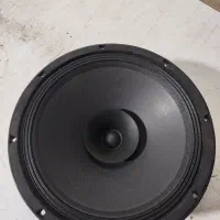 میدرنج 12 اینچ ایتالیایی