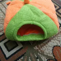 لانه پارچه ای