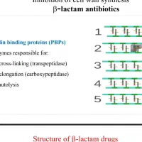 گوشی نوت ۱۳