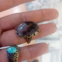 شجر فیروزه کله قندی