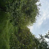 فروش-زمین-مسکونی