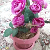 ۷عدد گلدان نو گل مصنوعی ودیوارکوب یکجا|گل مصنوعی|تهران, جی|دیوار
