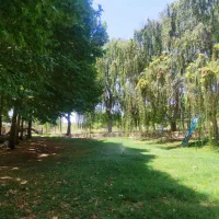 فروش باغ شهری کوهمره سرخی