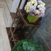 استند و گل|گل مصنوعی|هشتگرد, |دیوار