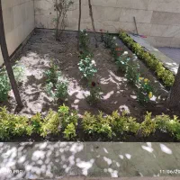 خدمات باغبانی در تمام نقاط کرج و|خدمات باغبانی و درختکاری|کرج, عظیمیه|دیوار