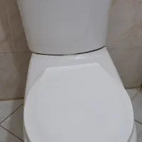 توالت فرنگی سالم.