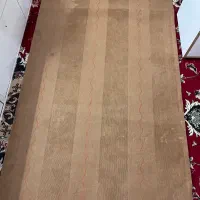 موکت|موکت|اردکان, |دیوار