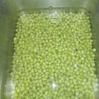 ابغوره خانگی|خوردنی و آشامیدنی|تهران, سلیمانی|دیوار