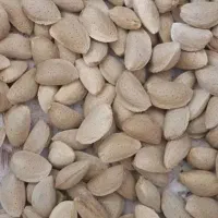 خرید بادام