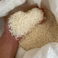 برنج‌هاشمی گیلان|خوردنی و آشامیدنی|رشت, لاکان شهر|دیوار