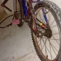 ورزش کودک