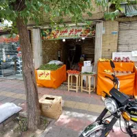 اجاره یا واگذاری میوه فروشی