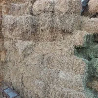 یونجه چین اول کلش گندم ۱۰۰خروار|لوازم جانبی حیوانات|مشگین شهر, |دیوار