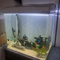 آکواریم شیشه خم|ماهی|مریوان, |دیوار