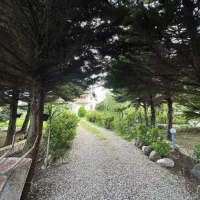 ویلاباغ دارای محوطه1400متری و بنا 240|فروش خانه و ویلا|لیسار, |دیوار