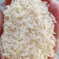 پخش عمده برنج فجر