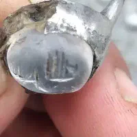 فروشانگشتر باقدمت باای 2۰۰۰سال