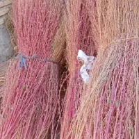 جاروی شهرداری|لوازم نظافت|یاسوج, |دیوار